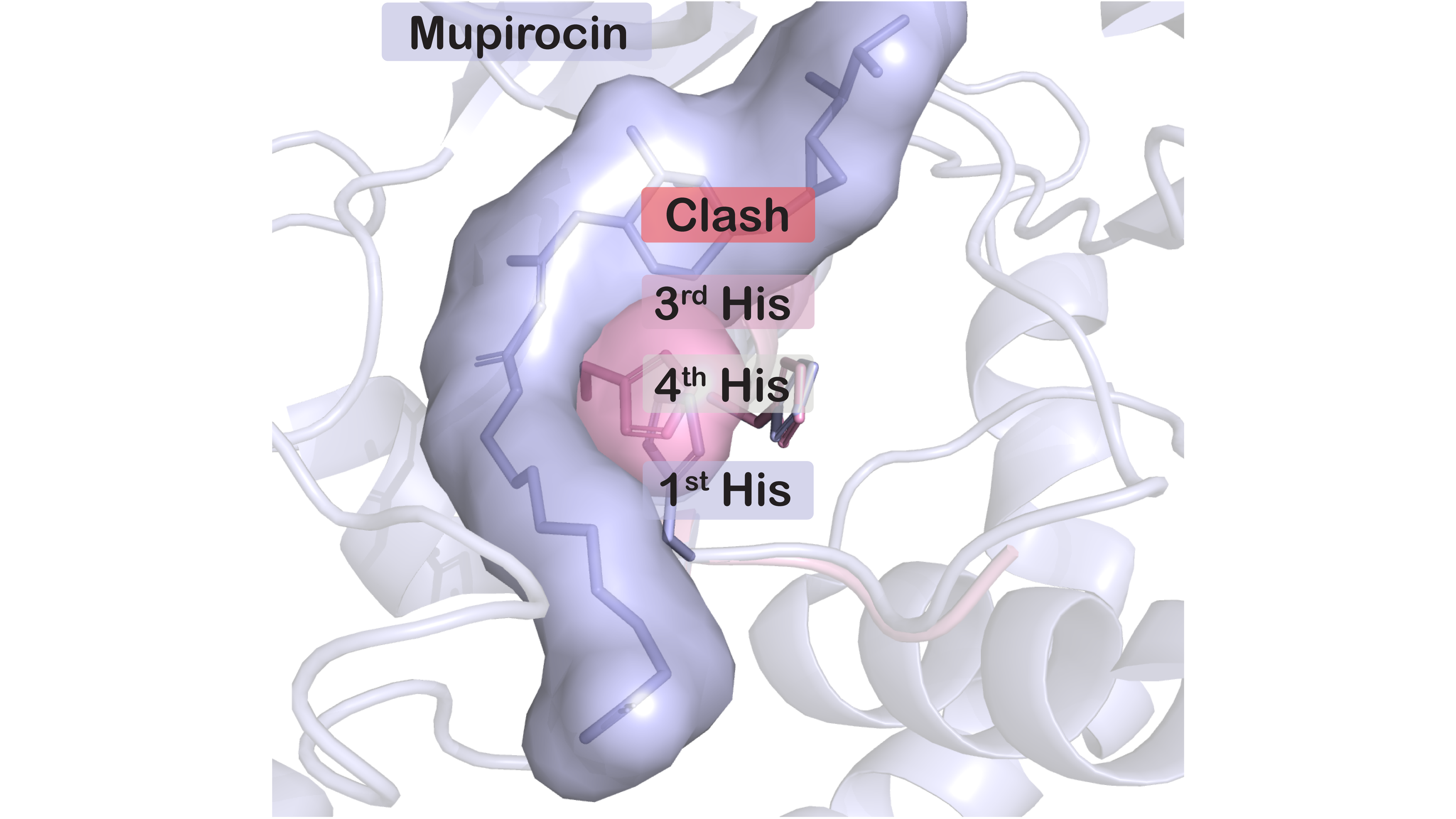 Aminoacyl-tRNA synthetase - antibiotic targets and evolved resistance